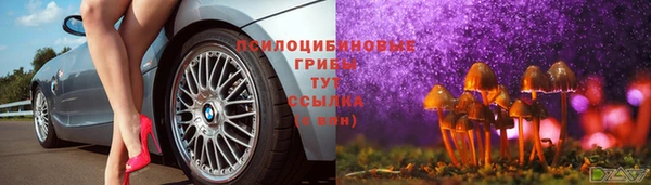 соль курить ск Липки