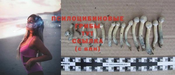 а пвп мука Лиски