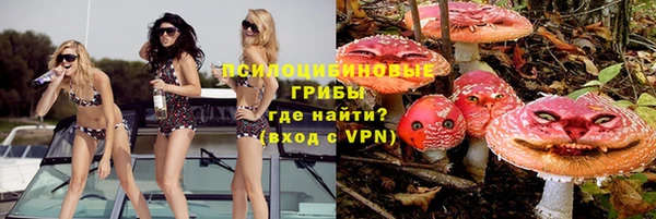 а пвп мука Лиски
