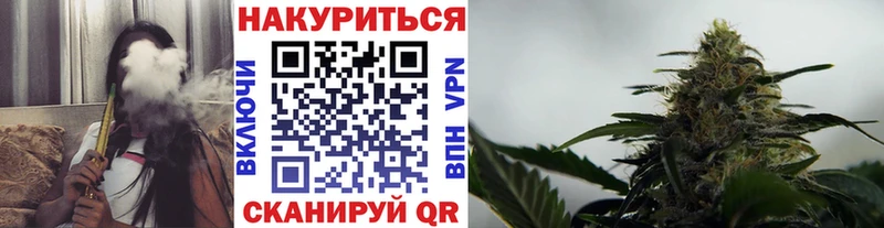 Купить закладки Пудож Марихуана план